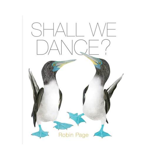 【荣誉插画家Robin Pag