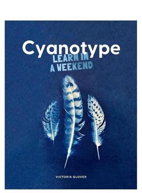 【现货】一周学会蓝晒法英文手工制作进口原版书平装【Learn in a Weekend】Cyanotype Victoria Glover Skittledog