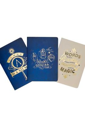 【预售】哈利波特咒语灵药日程本三本套装Harry Potter Spells and Potions Planner Notebook Collection 英文文创笔记本Notebo