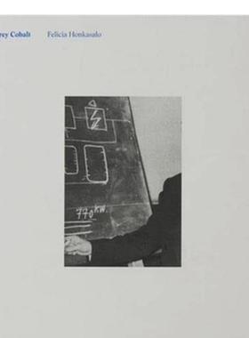 【现货】灰色钴Grey Cobalt英文摄影集人文景观Felicia HonkasaloLoose Joints进口原版书9781912719082