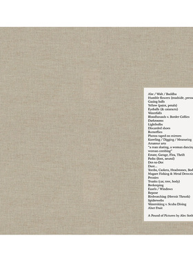 【预售】【签名版】亚历克索斯一堆照片英文摄影师专辑进口原版书精装Alec Soth: A Pound of PicturesAlec SothMACK