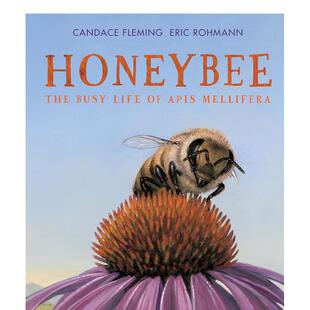 生活英文儿童绘本动物生态环保进口原版 Mel Apis The 预售 蜜蜂：意大利蜜蜂忙碌 Busy 书精装 外版 Life 6周岁Honeybee