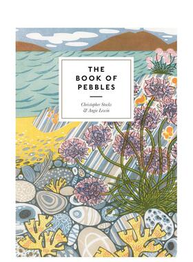 【预售】【T&H】卵石之书The Book of Pebbles英文艺术总论历史理论评论Chrisher StocksThames & Hudson平装进口原版书978050