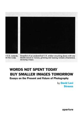 【预售】大卫·李维·施特劳斯:今日不言英文摄影摄影师专辑进口原版外版书平装14岁以上David Levi Strauss: Words Not Spent T