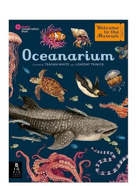 【现货】【欢迎来到博物馆】海洋馆【Welcome to the Museum】Oceanarium英文儿童绘本知识百科Loveday Trinick 精装Big Picture