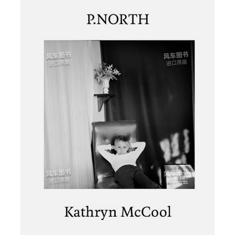 【现货】北边英文摄影集摄影师专辑精装进口原版外版书P.North Kathryn McCool