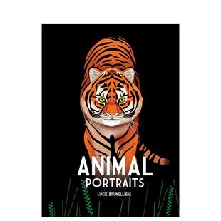 Portraits英文儿童绘本动物生态环保Lucie Brunelliere精装 Boxer 6岁进口原版 动物肖像Animal Books3 书9781914912474 现货