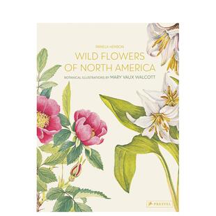 Flowers Henson精装 北美洲野生花卉 America英文艺术插画原画设定集Pamela North Walcott植物水彩插画Wild Vaux Mary 现货