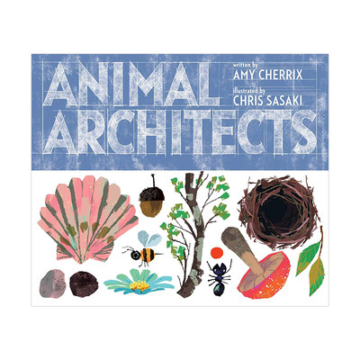 【现货】动物建筑师Animal Architects 3-8岁少儿大自然群居生物学启蒙早教绘本 英文原版 儿童课外阅读读物