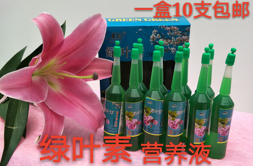 营养液植物盆栽绿叶包邮