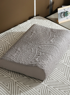 防水乳胶枕套泰国橡胶记忆枕芯枕头套内胆30x35x40x50x55x60加厚