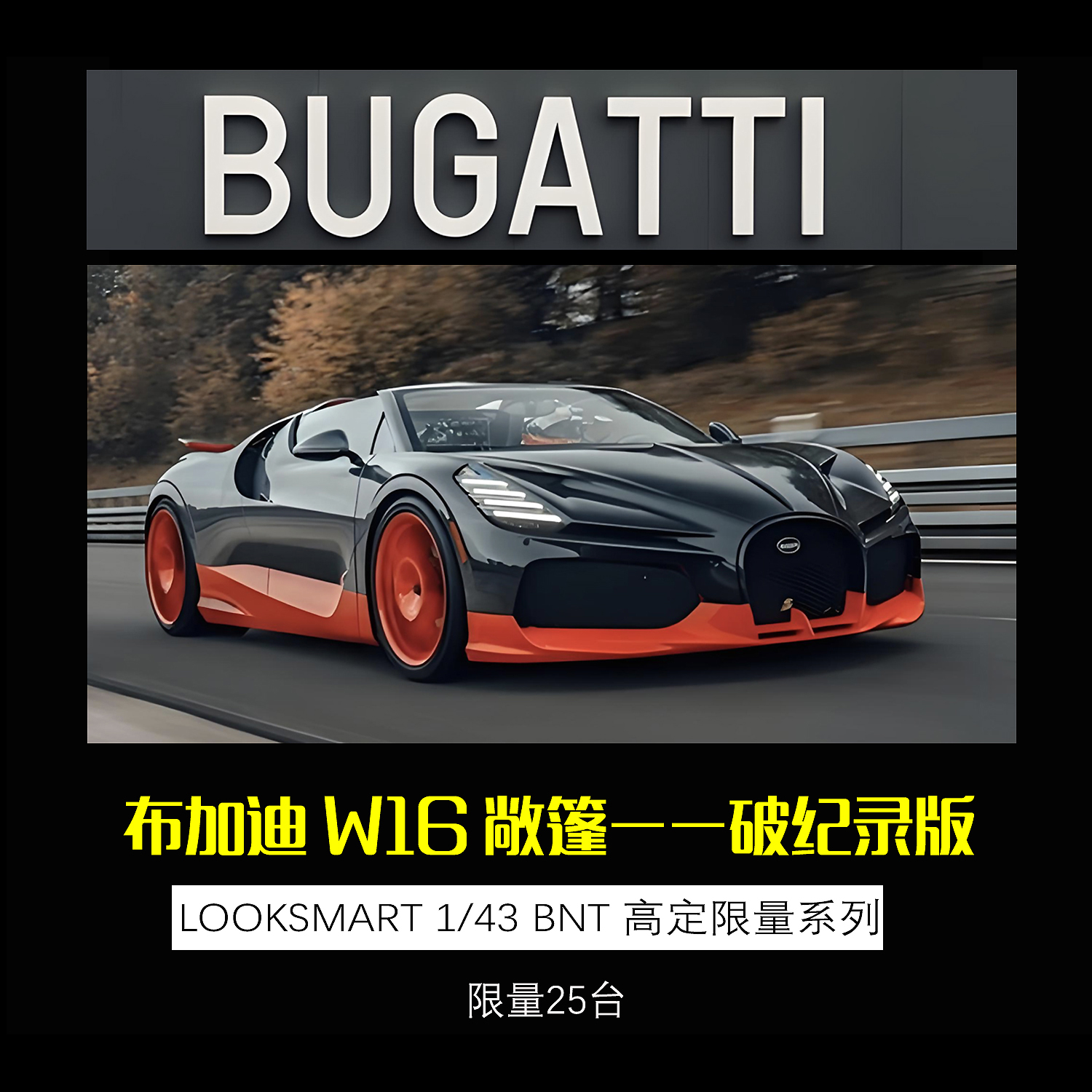 LOOKSMART布加迪W16Mistral模型