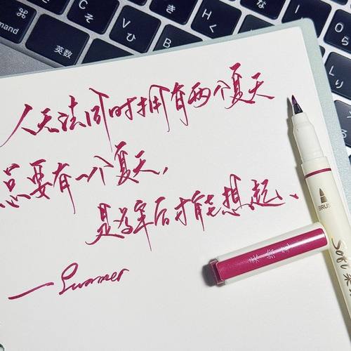 抖音爆款高颜值柔绘笔学生用荧光笔软头毛笔学生书法彩色手帐笔