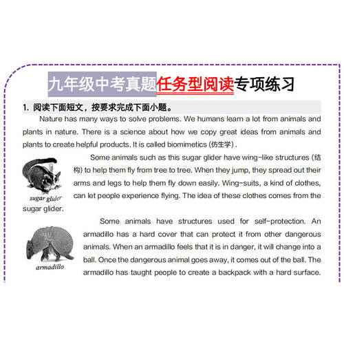 2026年初中中考九年级英语任务型阅读题型专项练习50篇PDF带解析