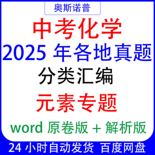 素专题word 初中中考化学2025年各地真题分类汇编元