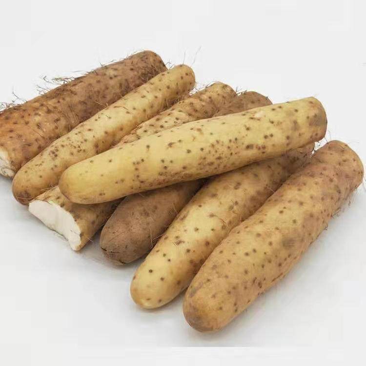 山西农家新鲜土长山药皮薄茎粗绵软微甜5斤净重平遥岳壁农产品