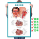 鼻腔解剖示意图医学挂图医院耳鼻咽喉侧面解剖图鼻炎海报中矢状图