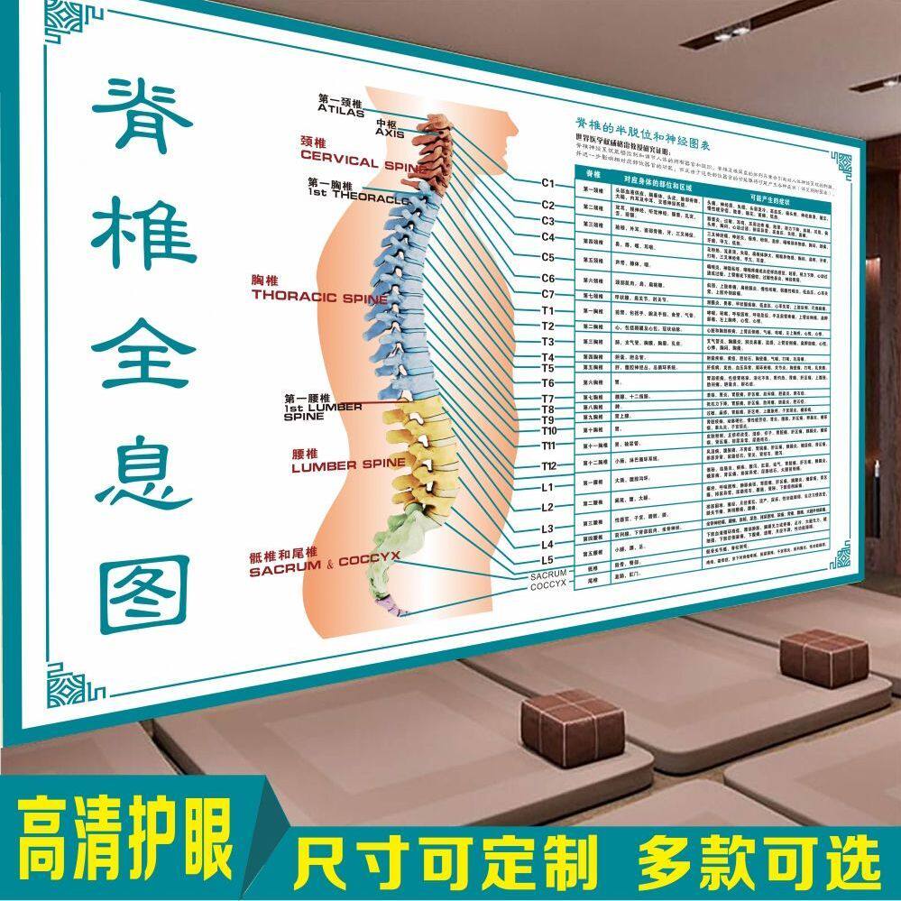人体经络脊椎全息图脊椎的半脱位和神经图表反射区病症对照大海报