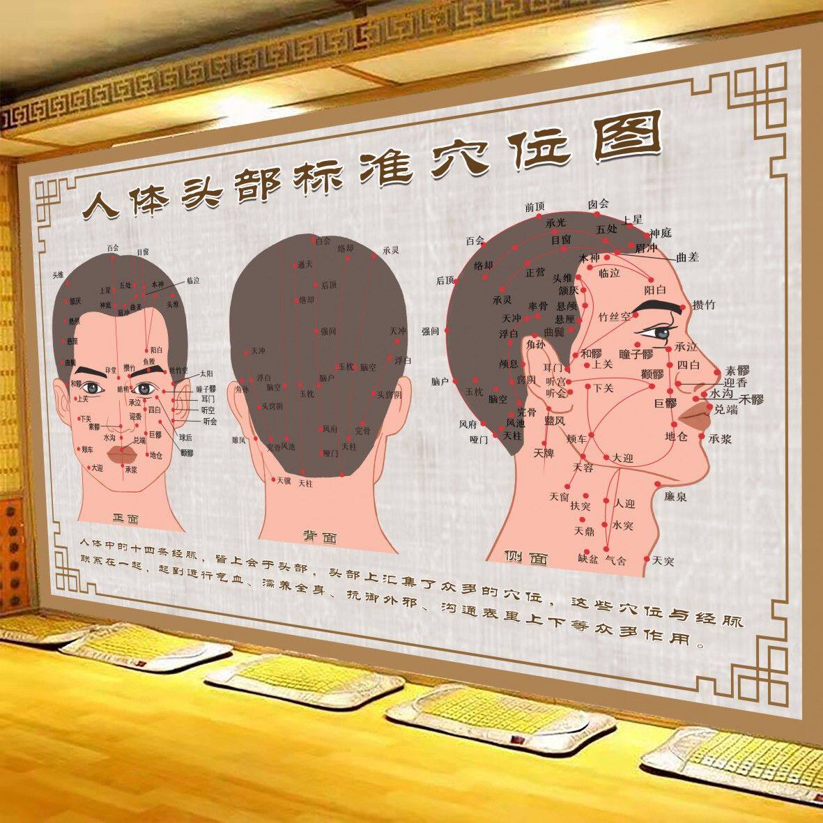 人体头部穴位图海报标准经络面部面诊图中医养生馆按摩宣传图片