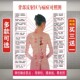中医养生背部反射区与病症对照图挂图人体背部穴位图背诊图片海报