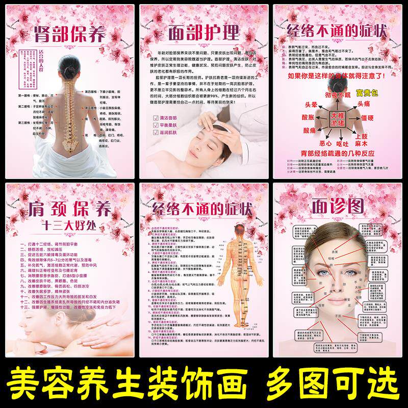 美容SPA馆养生理疗项目广告画 面部护理面诊头疗经络养生海报挂图