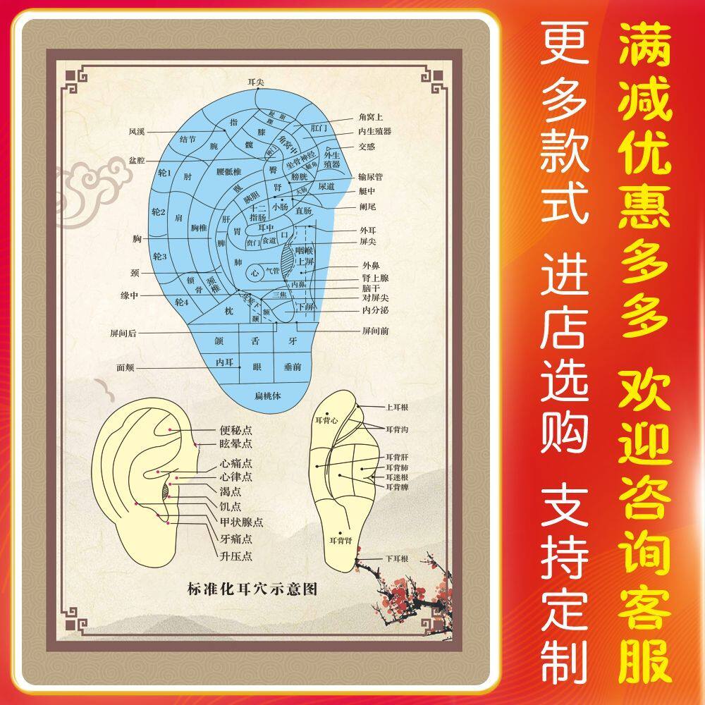 人体耳朵穴位图海报标准耳穴示意图挂图耳部耳针图片墙贴海报广告