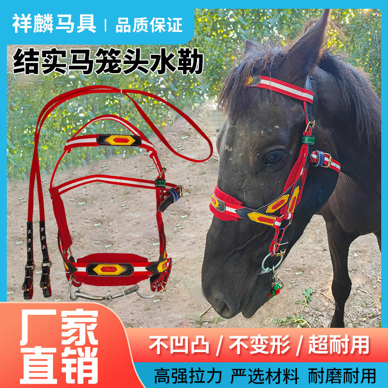 马笼头水勒缰绳防磨全套马术用品