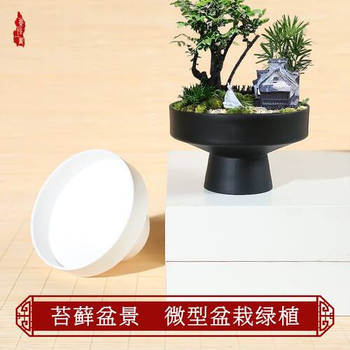 高颜值飞碟苔藓球花蕨类专用盆水仙花无孔水培器皿植物花盆