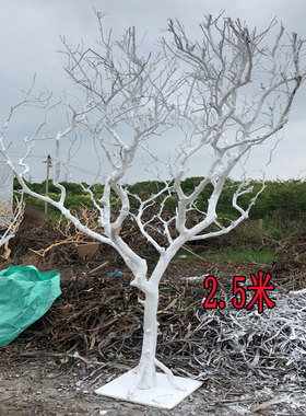 白色树枝造型枯树枝干支天然桔子树杆许愿树影楼橱窗装饰喷白