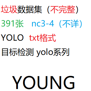 nc3 目标检测数据集YOLO垃圾图片数据集391张YOLO txt格式