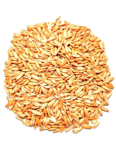 蒸汽熟化燕麦马牛羊饲料原料