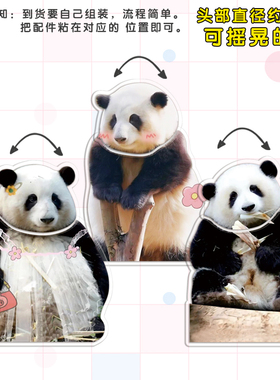 网红大熊猫花花桌面电动摇头摆件