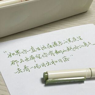 点石新国色柔绘彩色秀丽笔手账Brush绘画书法小楷弹软头勾线笔827