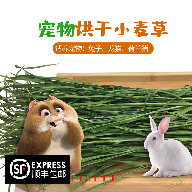 河南麦草动漫科技有限公司_河南中浩科技有限公司招聘_动漫科技有限公司简介
