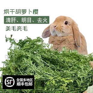 2024烘干胡萝卜樱子宠物兔子荷兰猪龙猫豚鼠饲料干草牧草萝卜缨子