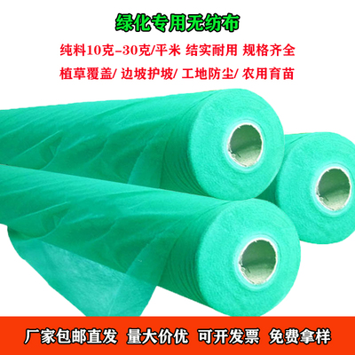 园林绿化无纺布整卷覆盖膜农用育苗护坡草坪草籽保湿一次性防尘布