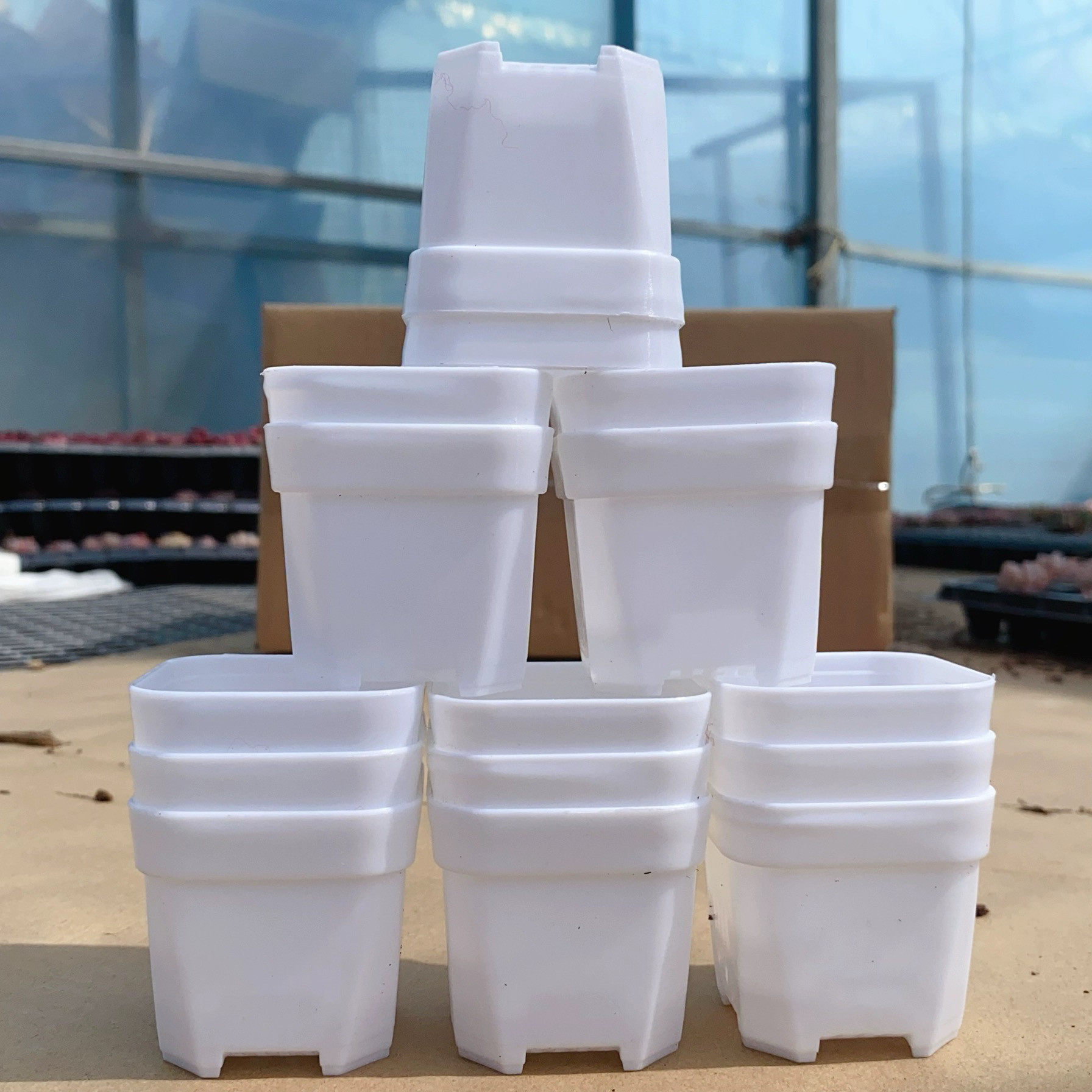 塑料小盒多肉小盆塑料小盆【15个】尺寸小多肉植物