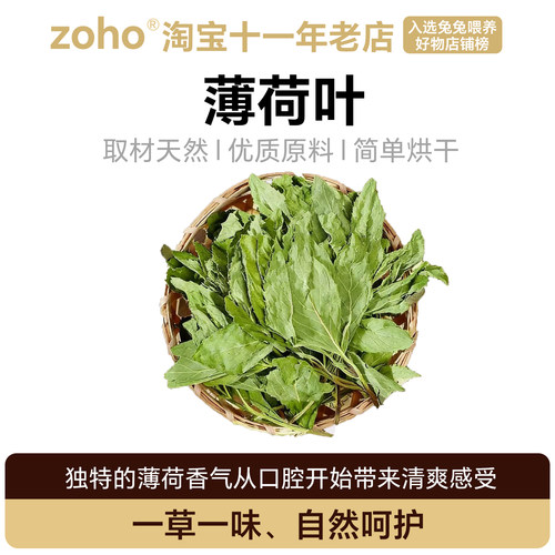 烘干薄荷叶牧草零食龙猫豚鼠兔子