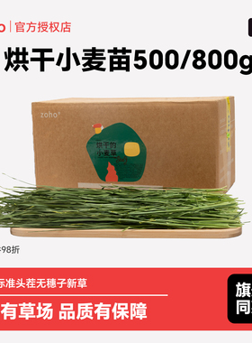 zoho烘干的小麦草干草龙猫荷兰猪兔子小麦草饲料牧草25年新小麦苗