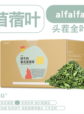 zoho全叶苜蓿草龙猫荷兰猪兔子苜蓿草幼兔专用粮食吃的食物干牧草