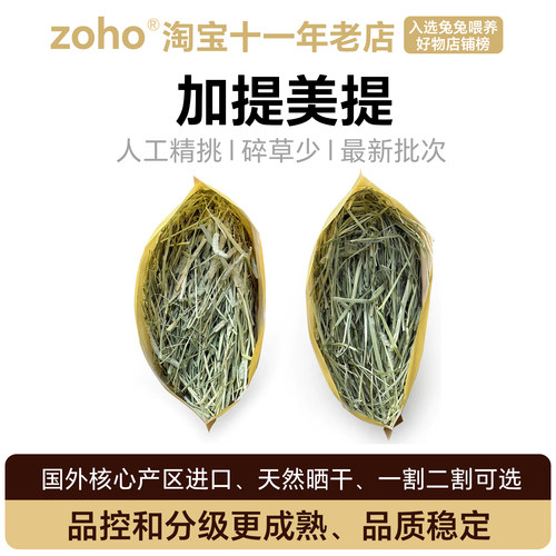 进口加提美提龙猫荷兰猪兔兔干草