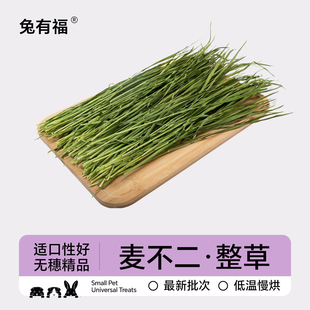 26年新烘干小麦苗兔子小麦草干草龙猫荷兰猪兔草豚鼠牧草饲料零食