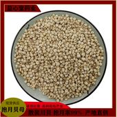 250g正品 云南特产野生川贝母新货无硫川贝粉粒个中药材煲汤