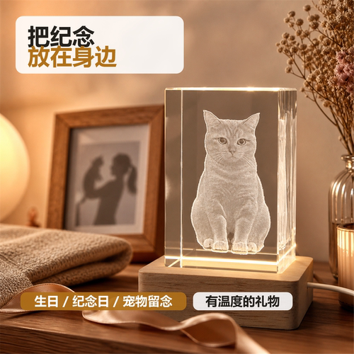礼物定制3D内雕水晶定制照片摆件 LED发光底座 激光雕刻人像纪念