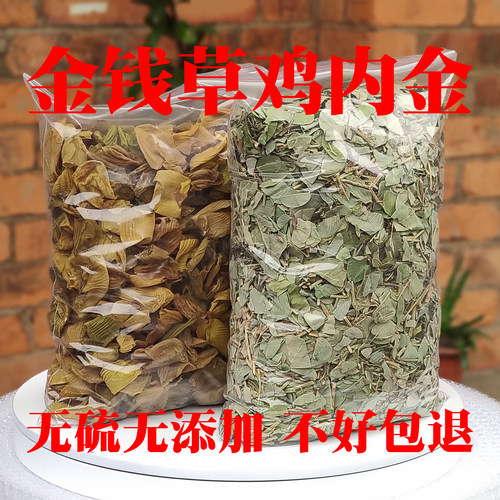 新鲜大叶金钱草鸡内金广金钱草
