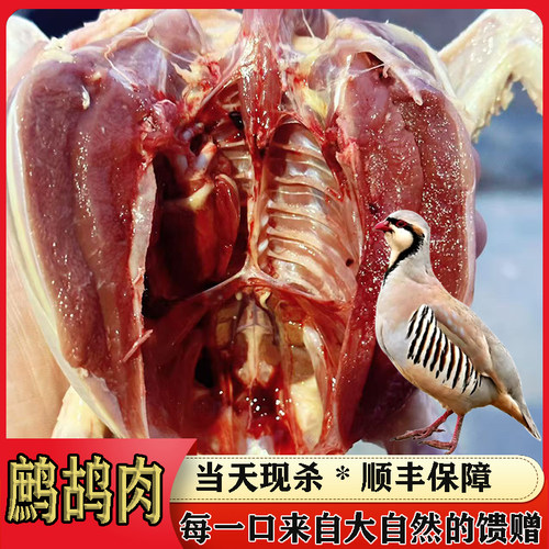 当天现杀老鹧鸪肉月子煲汤食材