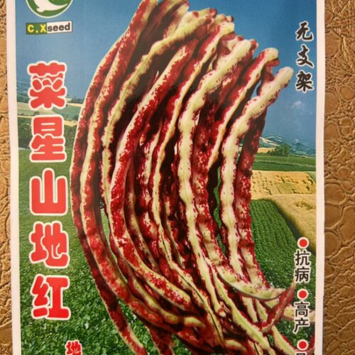 老品种本豆角种子不用打架