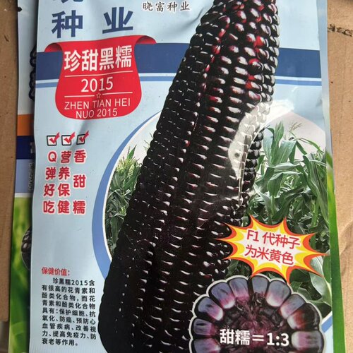 香甜黏糊大棒玉米种子芽率高