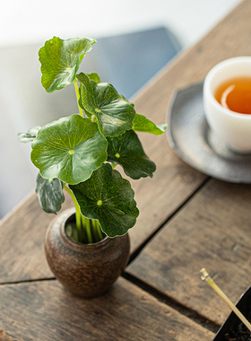 迷你小花器铜钱草花插摆件中式禅意家居茶道桌面复古陶瓷创意花瓶