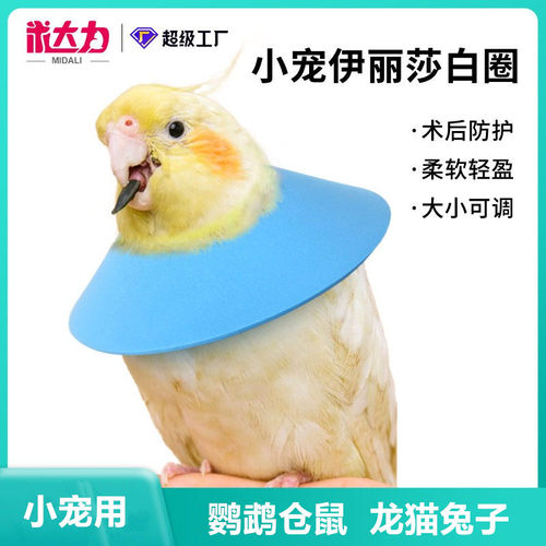 新品小宠伊丽莎白圈仓鼠鹦鹉兔子